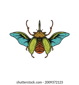 Insect drawing. Creative illustration. Creative design.