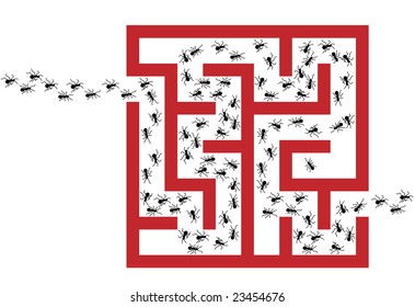 An insect exterminator is needed to solve an Ant Pest Problem Maze Puzzle.