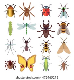 Insect flat icons isolated on white background. Bug and mosquito, fly and spider. Vector illustration