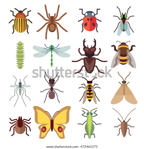 Insect Flat Icons Isolated On White Stock Vector (Royalty Free) 472465273