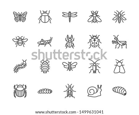 Insect flat line icons set. Butterfly, bug, dung beetle, grasshopper, cockroach, scarab, bee, caterpillar vector illustrations. Outline signs for insects pest. Pixel perfect. Editable Strokes.