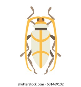 insect flat style vector design icons. nature beetle cartoon illustration