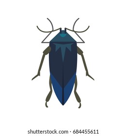 insect flat style vector design icons. nature beetle cartoon illustration