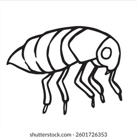 insect flea. vector illustration in sketch style. parasite