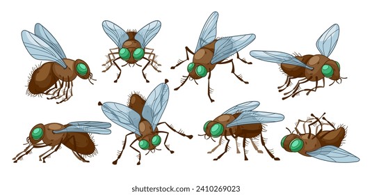 Insect Flies Set in Different Poses. Winged Pest Characterized By A Single Pair Of Transparent Wings