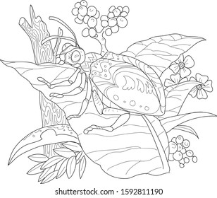 insect and floral, coloring book for fun