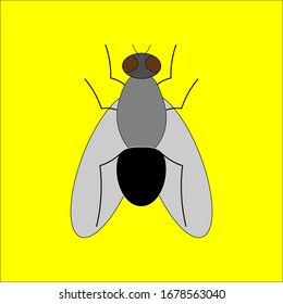 
insecta una mosca en un vector de fondo amarillo