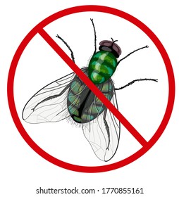 The insect fly is painted in a crossed red sign. Drawing isolated on a white background. Stock vector illustration.
