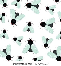 Insect of the fly pattern on white background is insulated