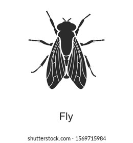 Insect fly vector icon.Black vector icon isolated on white background insect fly .