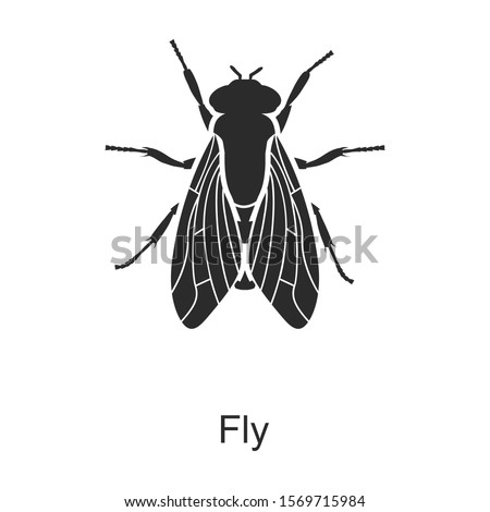 Insect fly vector icon.Black vector icon isolated on white background insect fly .