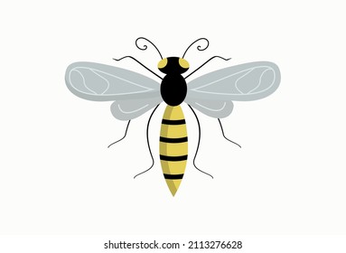 Insect, fly, wasp en estilo doodle. Ilustración vectorial.