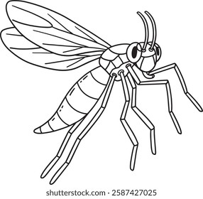 Insect Gnat Animal Isolated Coloring Page for Kids