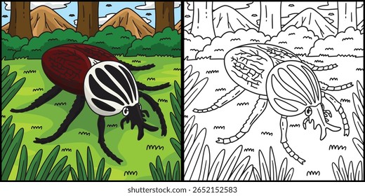 Inseto Goliath Besouro animal ilustração colorida 
