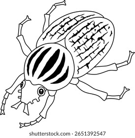 Insect Goliath Beetle Animal Isolated Coloring 