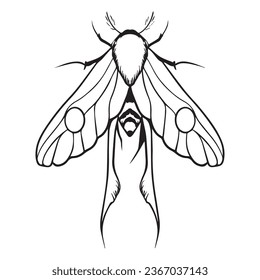 insect graphic design vector illustration,art tattoo sketch,hand draw,print use