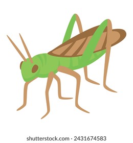 Insect grasshopper icon isometric vector. Creature natural. Verdant limb