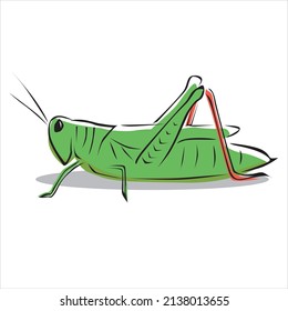 insect Grasshopper vector art green animal small illustration