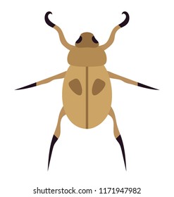 
A insect having legs with depicting beetle 
