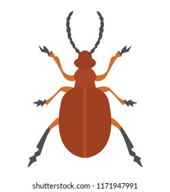 
A insect having legs with depicting beetle 
