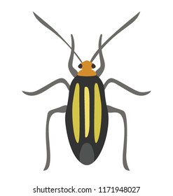 
A insect having legs with depicting  beetle 
