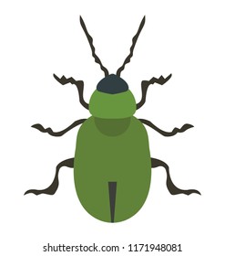 
A insect having legs with depicting beetle 
