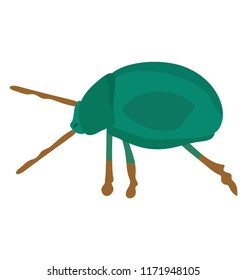 
A insect having legs with depicting beetle 
