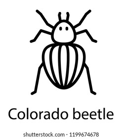 A insect having legs depicting colorado beetle 