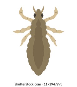 
A insect having legs with mandible depicting colorado beetle 
