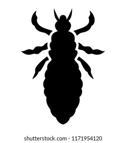 
A insect having legs with mandible depicting colorado beetle 
