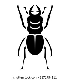
Insect having little legs known as weevil beetle 
