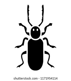 
Insect having little legs known as weevil beetle 
