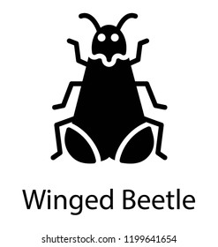 A insect having long wings depicting winged beetle