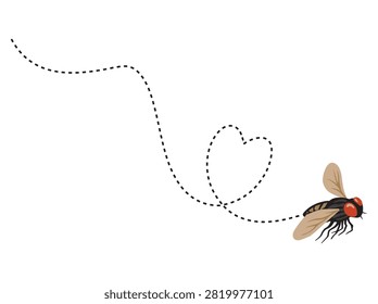 Insect or House Fly Flight Route