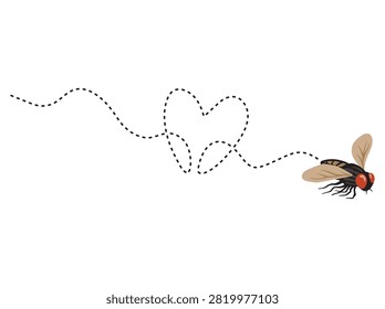 Insect or House Fly Flight Route