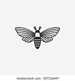 insect icon