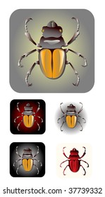 insect icon