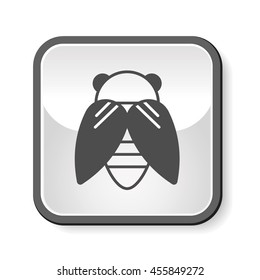 insect icon