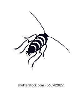 insect icon
