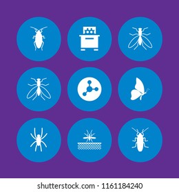 insect icon. 9 insect set with butterfly, mosquito from top view, bee hive and mosquito vector icons for web and mobile app