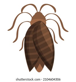 Vector de dibujos animados de iconos de insectos. La naturaleza vuela. Bicho salvaje