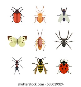 Insect icon flat isolated nature flying butterfly beetle ant and wildlife spider grasshopper or mosquito cockroach animal biology graphic vector illustration.