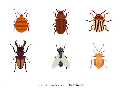 Insect icon flat isolated nature flying bugs beetle ant and wildlife spider grasshopper or mosquito cockroach animal biology graphic vector illustration.