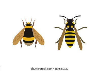 Insect icon flat isolated nature flying honey bee beetle ant and wildlife spider grasshopper or mosquito cockroach animal biology graphic vector illustration.
