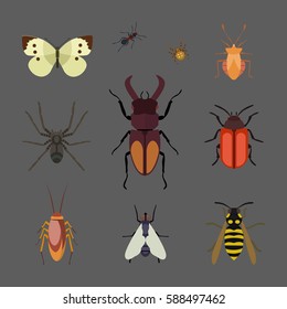 Insect icon flat isolated nature flying butterfly beetle ant and wildlife spider grasshopper or mosquito cockroach animal biology graphic vector illustration.