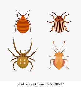 Insect icon flat isolated nature flying bug beetle ant and wildlife spider grasshopper or mosquito cockroach animal biology graphic vector illustration.