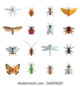 Insectes Hd Stock Images Shutterstock