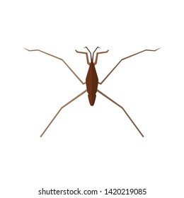 Insect icon in flat style isolated on white background. Vector illustration