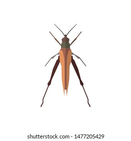 Insect icon in flat style isolated on white background. Vector illustration