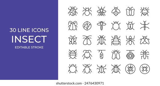 Insect icon illustration stock editable stroke. bugs, spider, ant and more